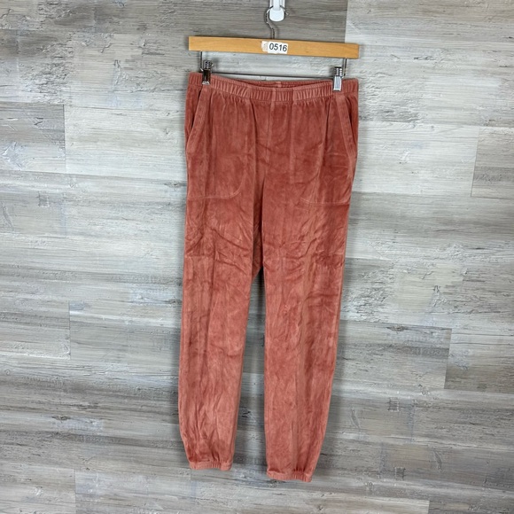 Aerie Warm Rose Velour Joggers - Picture 1 of 5